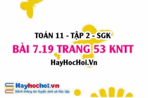 Bài 7.19 trang 53 Toán 11 tập 2 Kết nối tri thức